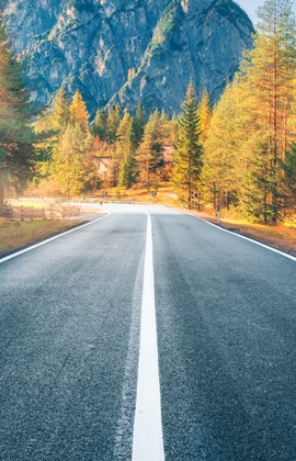 About us Journey of a new Living